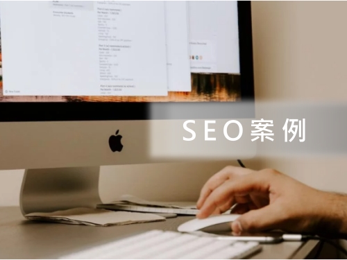 SEO案例